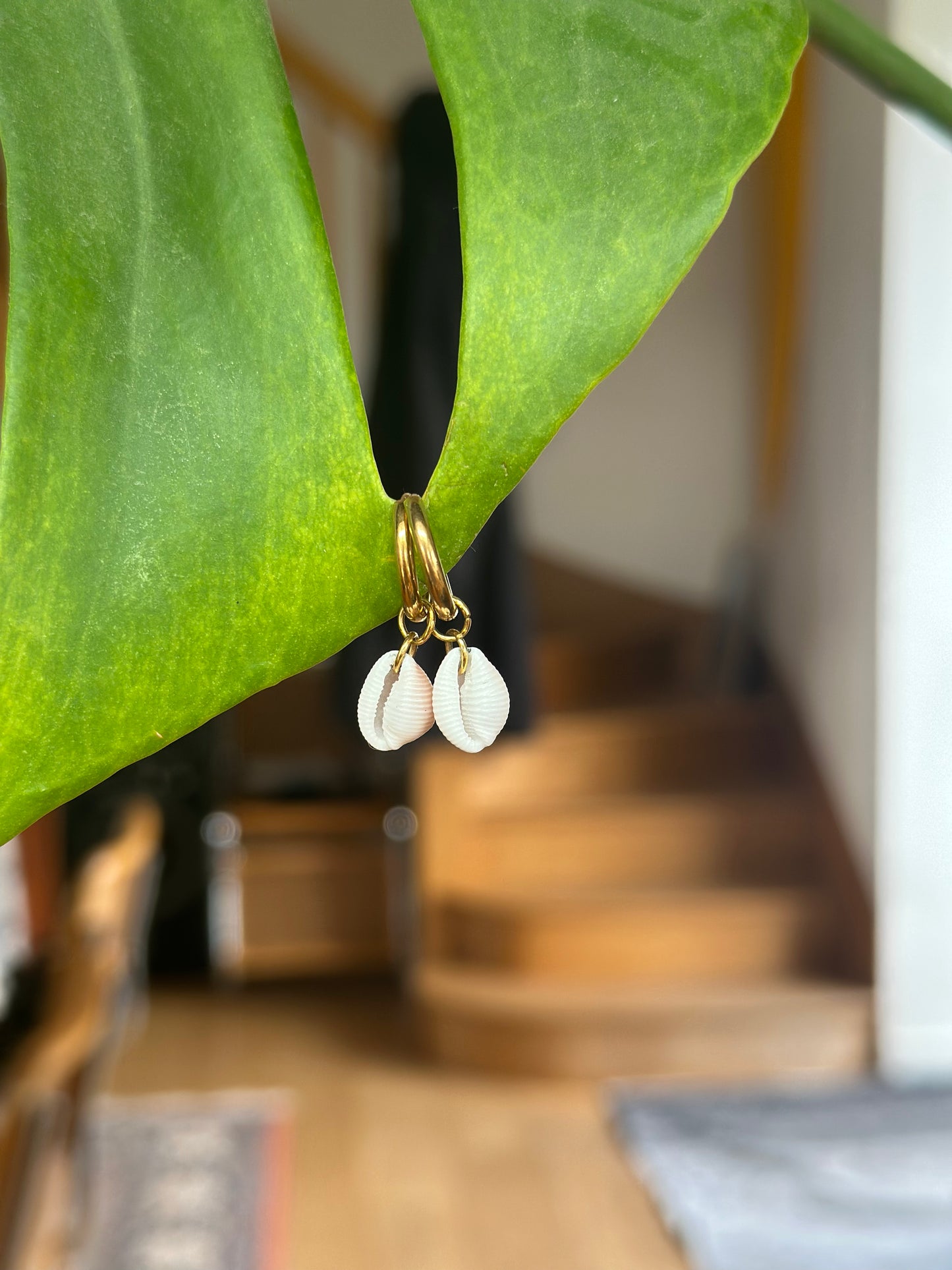 Boucles MONACHA - Collection coquillages