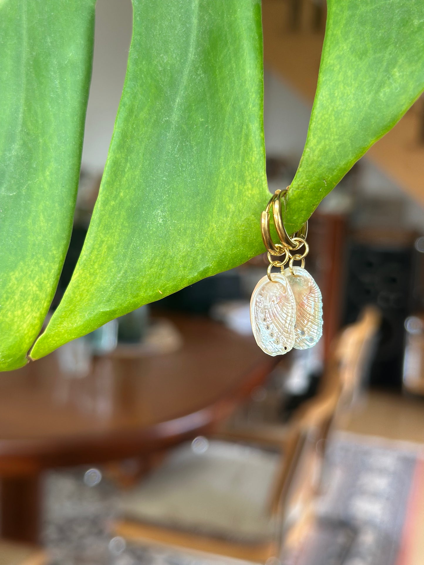 Boucles ORMEAUX - Collection coquillages