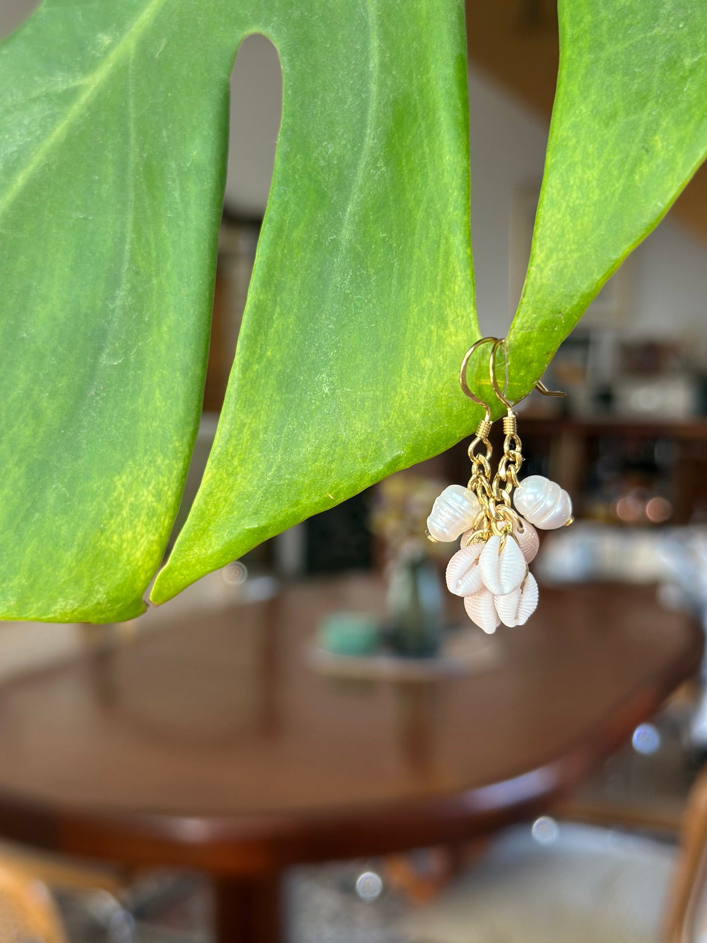 Boucles TRILOGIE - Collection coquillages