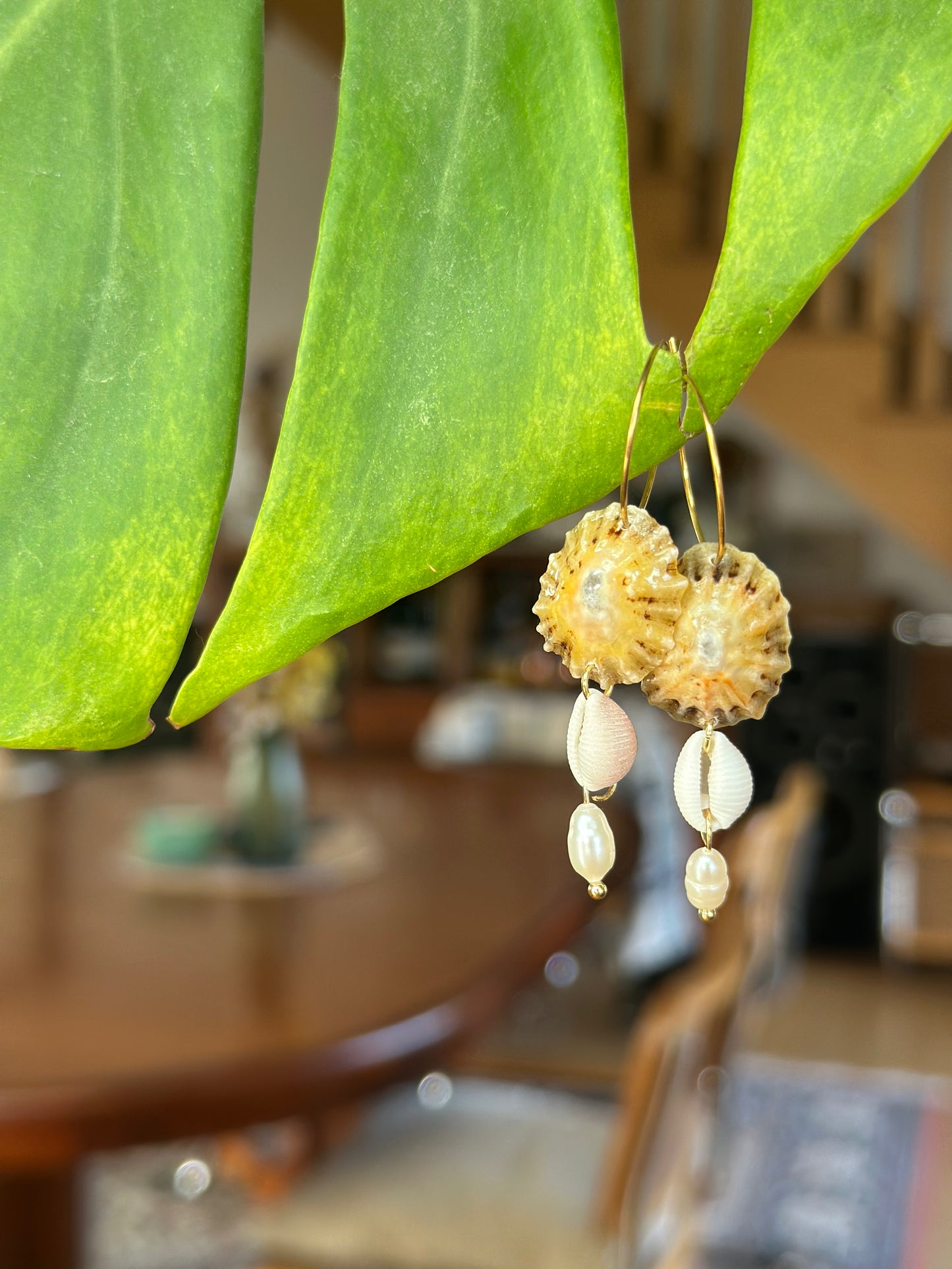 Créoles MARINE - Collection coquillages