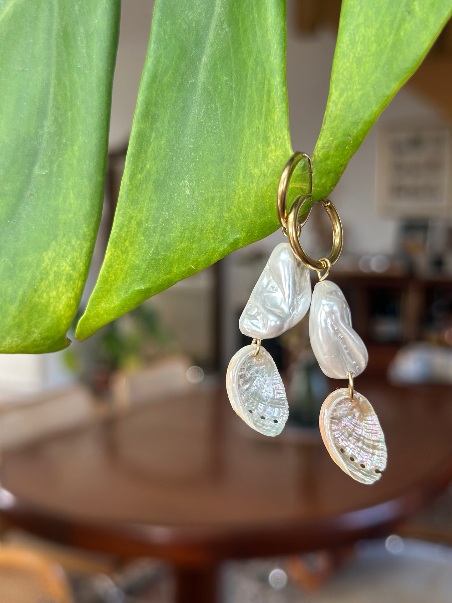 Boucles SOLIS - Collection coquillages