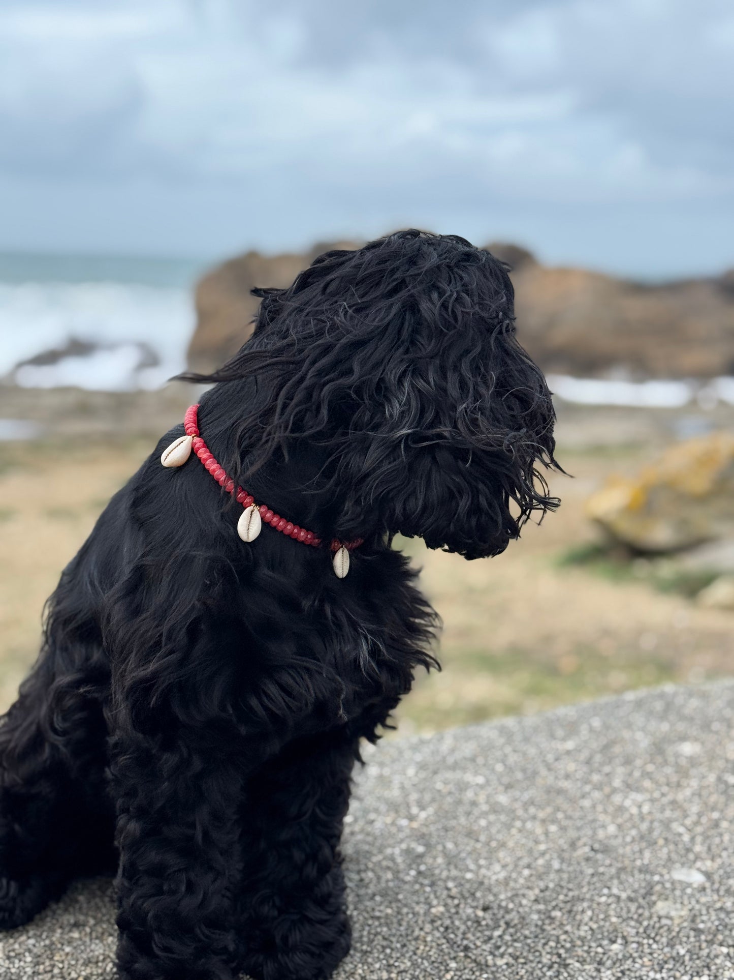 Collier DOGGO ROJO - Collection DOGGO