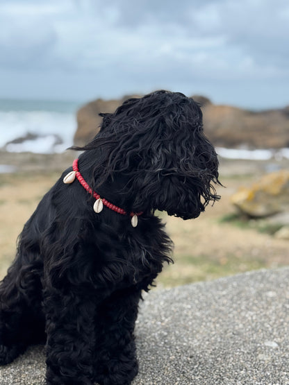 Collier DOGGO ROJO - Collection DOGGO