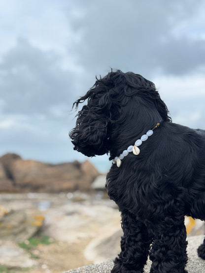 Collier DOGGO BLANCO - Collection DOGGO