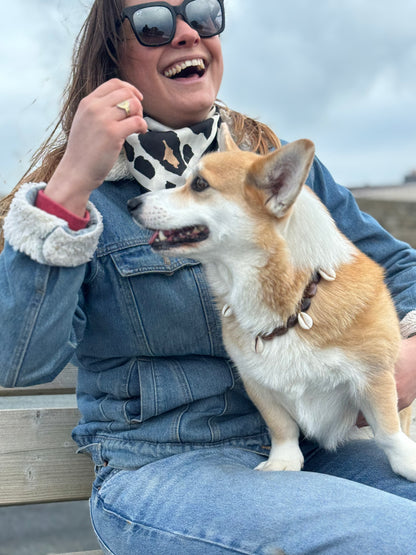 Collier DOGGO CHOCO - Collection DOGGO