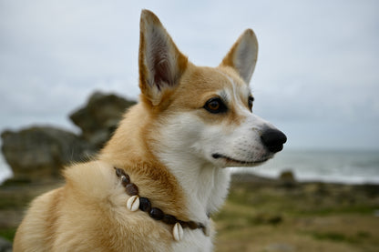 Collier DOGGO CHOCO - Collection DOGGO