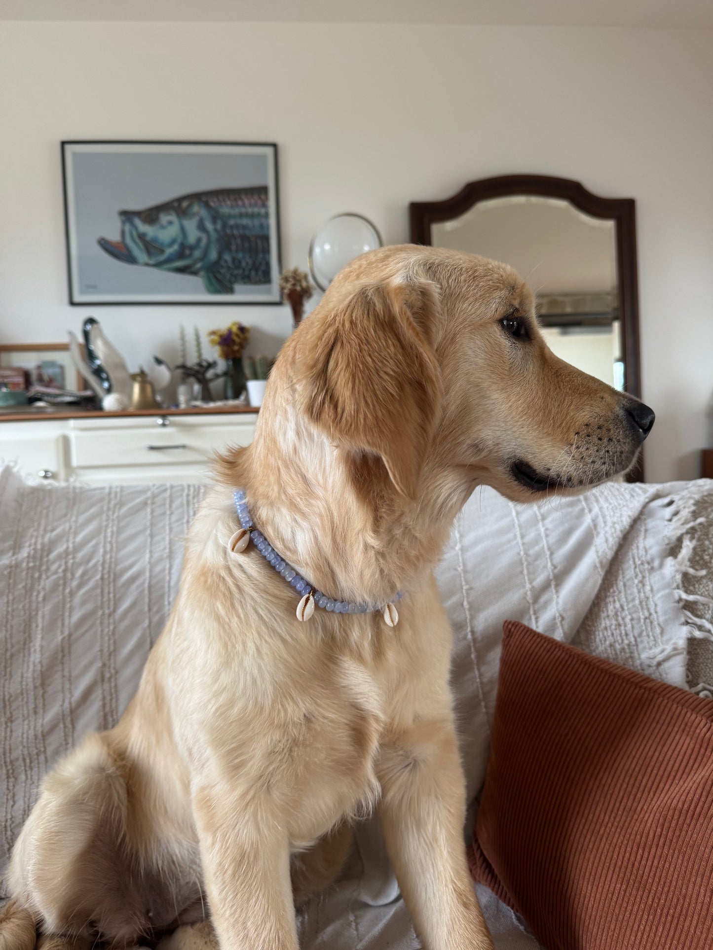 Collier DOGGO VIOLETA - Collection DOGGO