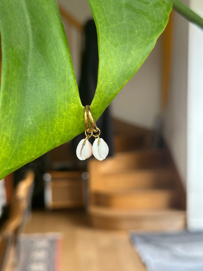 Boucles MONACHA - Collection coquillages
