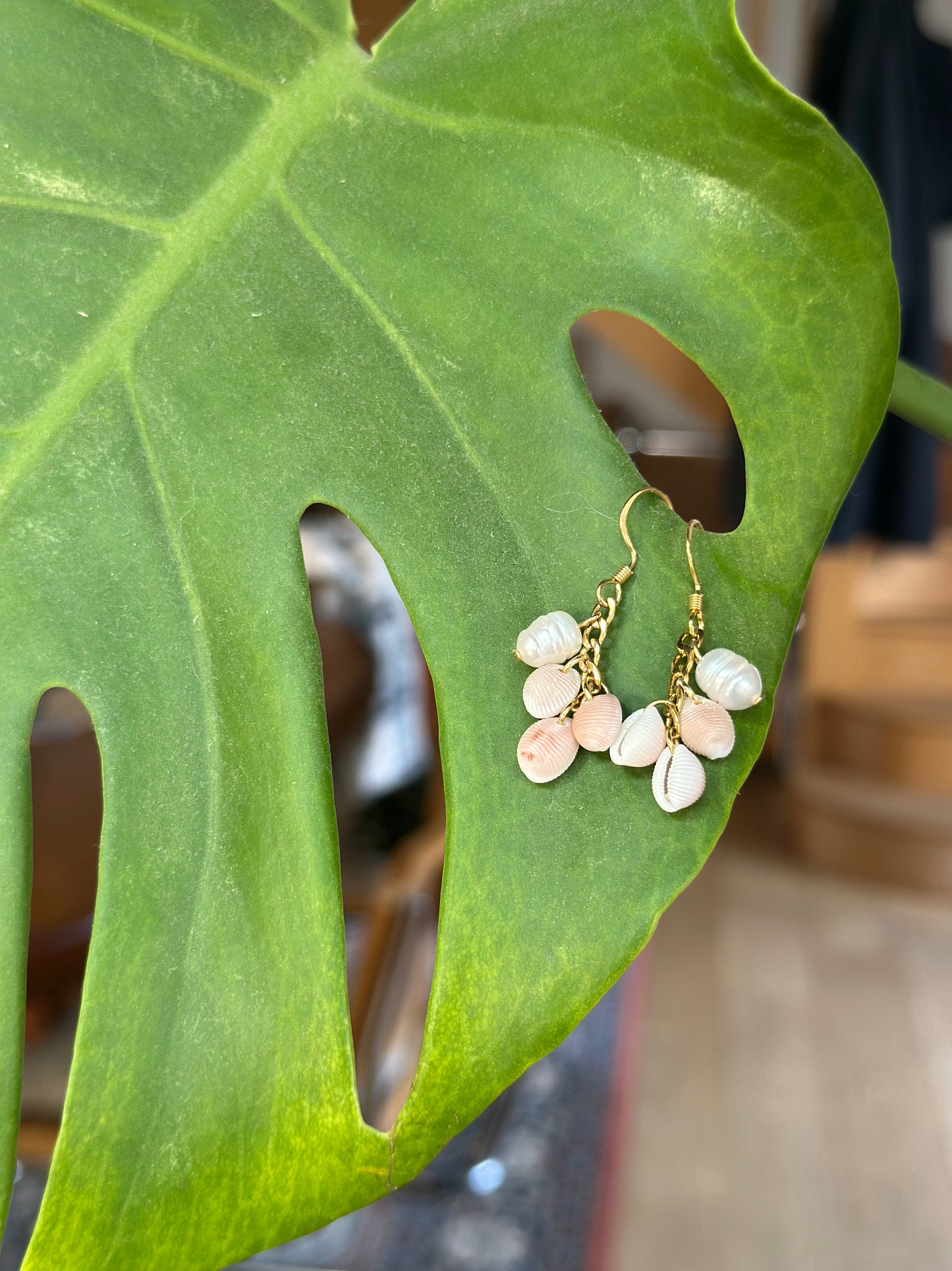 Boucles TRILOGIE - Collection coquillages